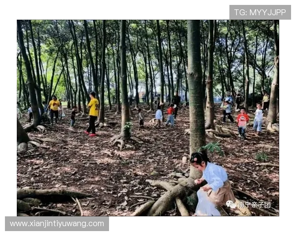 三亿体育真人游戏多平台同步体验，支持手机电脑多设备畅玩无障碍